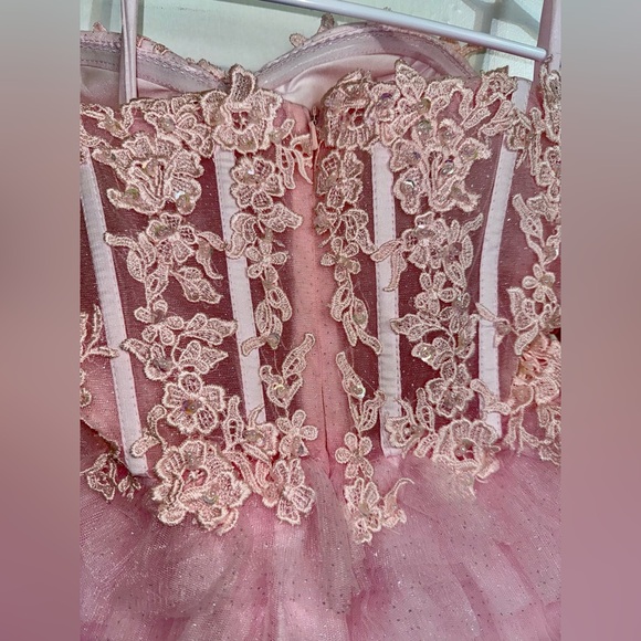 Kiss prom Pink Lace Bustier Tulle Party Dress size 4 nwt prom - Picture 3 of 8